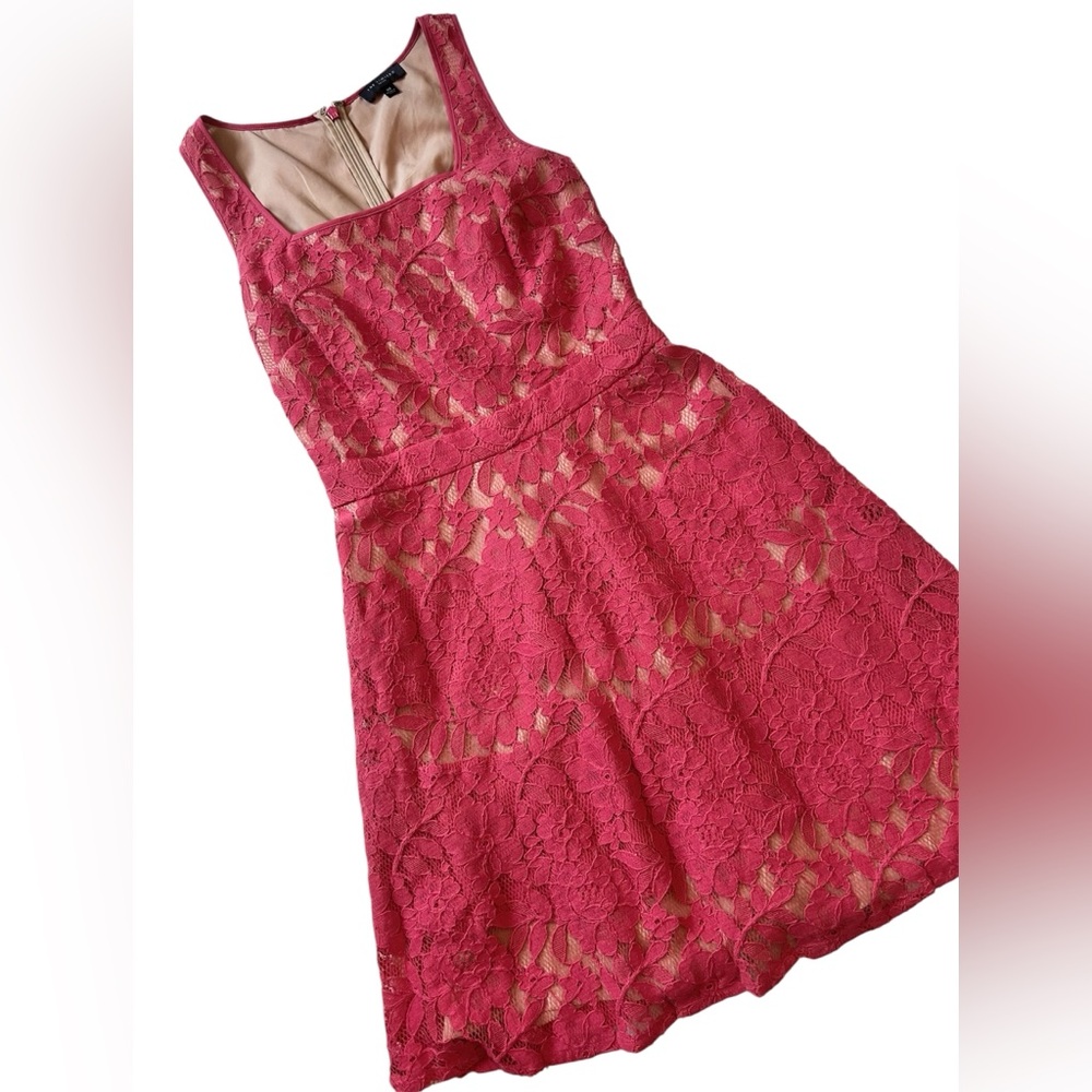 The Limited Pink Floral Lace Fit & Flare Dress | Sleeveless 00P